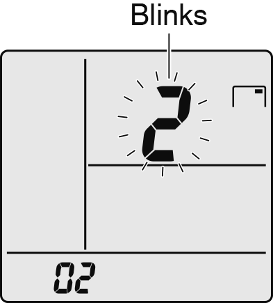 Blinks 2